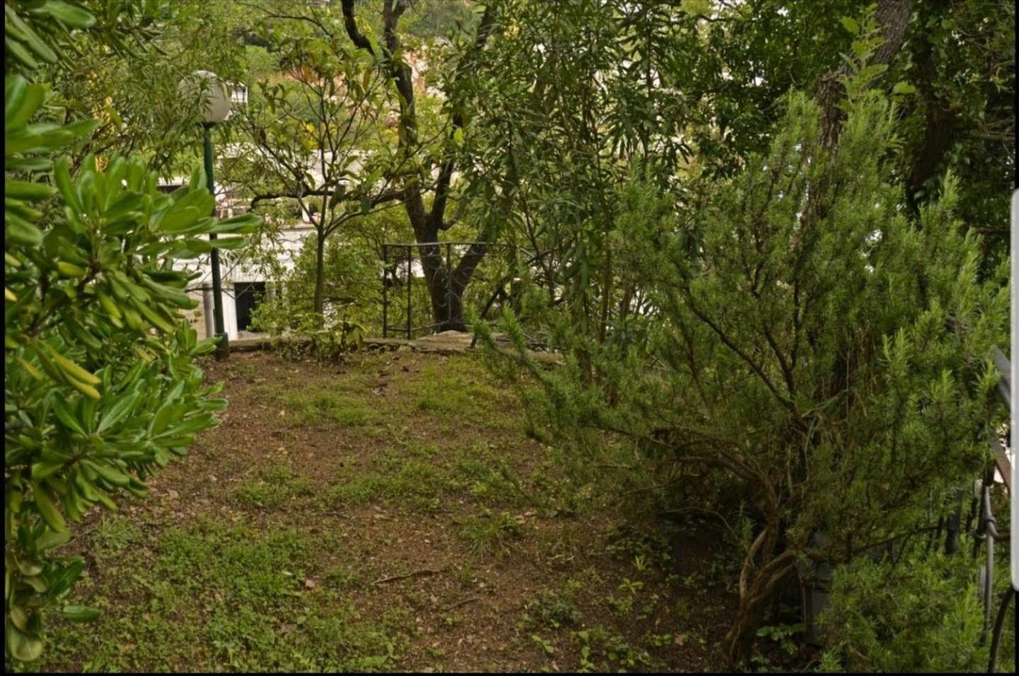 Nerina Apartment Petrovac Dış mekan fotoğraf
